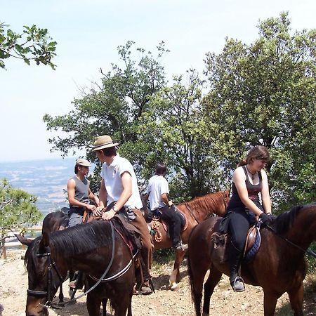 Hotel Rural Ocell Francoli เอสปลูกา เด ฟรังโกลิ ภายนอก รูปภาพ